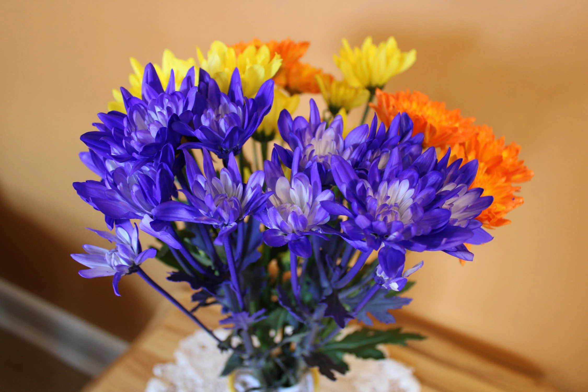 Photo of beautiful  flower